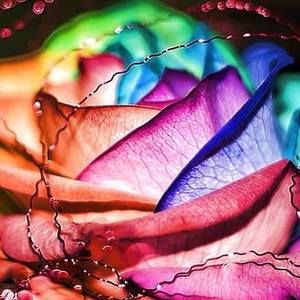 Meet your Posher, Devine